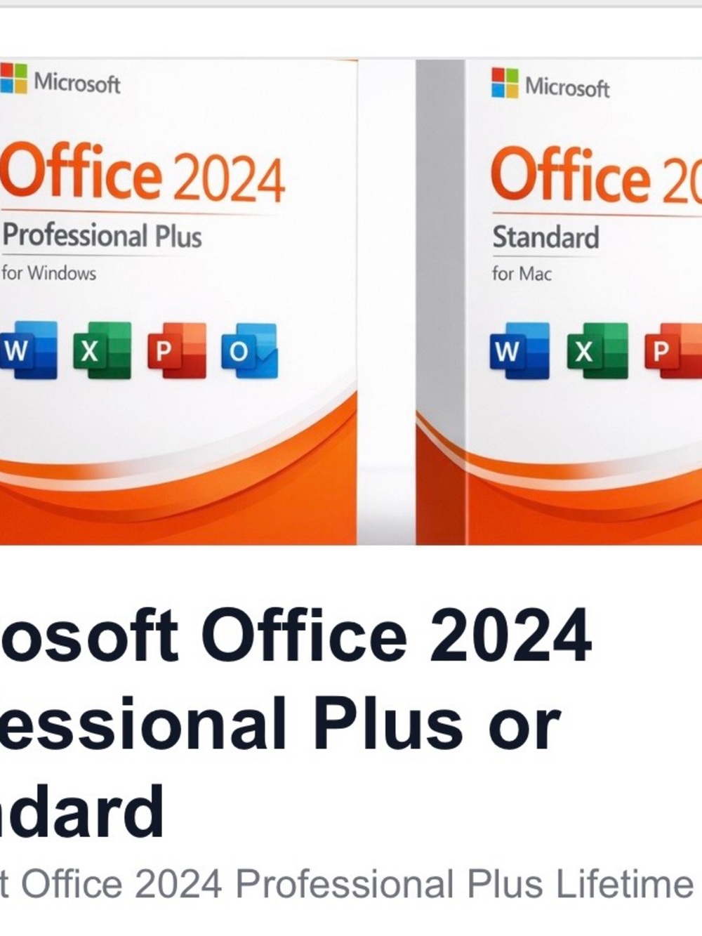 Microsoft Office 2024 Professional Plus - Orange and White